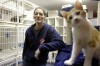 Red Paw gives comfort to displaced pets