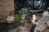 Think spring at garden expo
