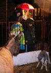 Live Nativity takes center stage at Hammond church