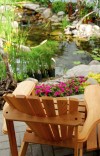 Pond