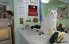 Hobart ordinance a hot topic during dog days of summer