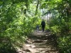 The Great Outdoors