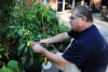 A Munster gardener shares his abundant yield of fruits and vegetables