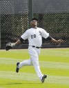 Dewayne Wise