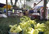 Portage Community Market opens