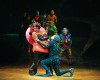 Cirque du Soleil's OVO