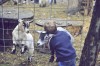 Kids Farm