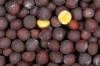 Herbal Healer: What is black mustard?