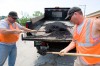 Indiana's jobless rate up to 8.2%