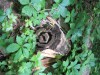 Zona Wildlife Sanctuary