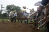 S'ville attracting new homes, businesses