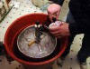 Ball State study finds high binge drinking rates in Indiana