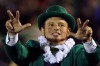 Fighting Irish