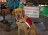 Power Paws for Kids needs more paws and people