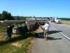 Plane shuts down lane of Ind. 49