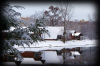 serenity snow