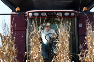 It's too early to make local harvest predictions