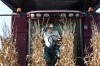 It's too early to make local harvest predictions