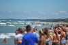 Report: Boat race raises millions for local economy
