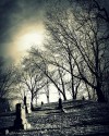 Schererville photographer stirs up 'Emotions'