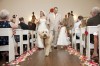 Dog of Honor