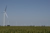 Fresh hope for local wind farms