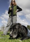 L.A. dog rescue rooted in efforts to reach homeless  