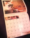 Local pets featured in calendar