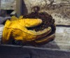 Gardeners need a sense of humus