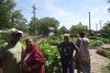 Party celebrates community garden movement