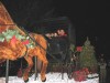 Hoosier holiday happenings