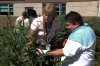 Thornton Fractional students contribute to local food chain