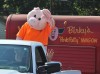 36th annual Pork Fest draws huge crowd to Kouts