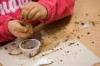 POTW Mar. 20-Mar. 26 - Soil Composition Presentation