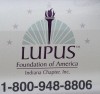 Hobart fundraiser draws walkers in fight against lupus