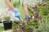 Memorial Day gardening