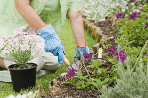 A beautiful garden starts now: Memorial Day means gardening for many