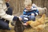 Crown Point business educates customers about chicks, eggs and opportunities