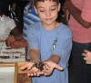 Insect station