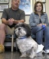 Resilient dog survives prostate cancer