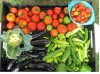 Portage Community Garden hopes to grow this summer