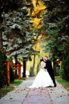 Falling in love
