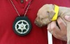 4 arrested, 20 dogs seized in dogfighting raid