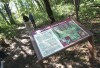 Forest Preserve works to retore Eggers marsh in Hegewisch