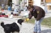 Lake County shelter volunteers leads animal rescue effort