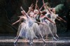 'The Nutcracker' set to light up holiday stages