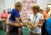 Amphibian fun at the Crete library