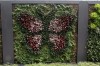 'Living walls' great backdrops for floral tapestry