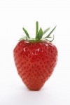 Gather the family for a berry good time