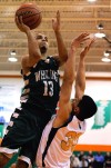 during the game, Friday March 2th, 2012, during the Wheeler Sectional at Wheeler High School.